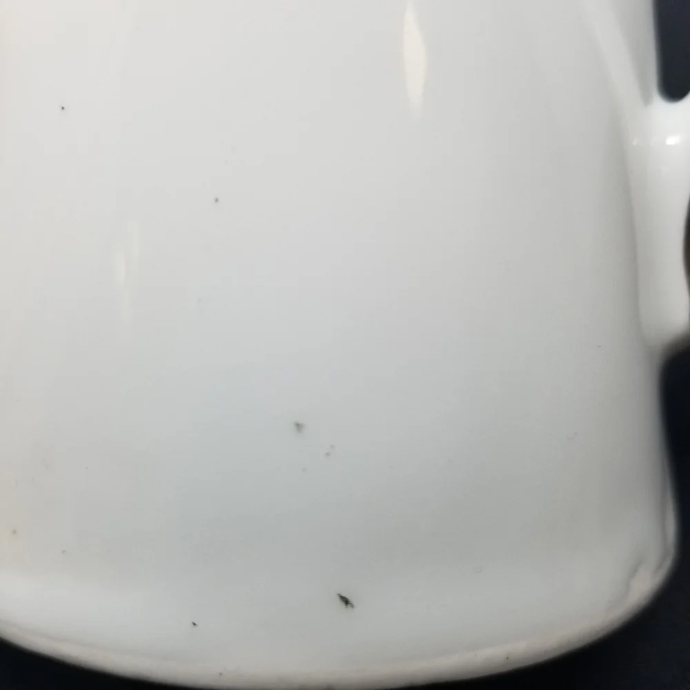 VINTAGE VICTORIA AUSTRIA PORCELAIN TEAPOT HAND PAINTED GOLD TRIM